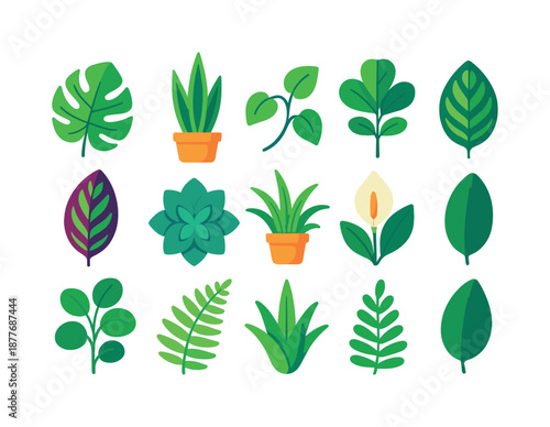 Colorful Houseplant Icons. houseplants. Colorful flat vector icons set of houseplants: monstera leaf, snake plant, pothos vine, fiddle-leaf fig, calathea leaf,