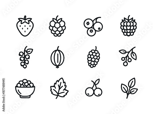 Berry Icon Set. Berry fruits. Line icon set of Berry fruits: strawberry, raspberry, blueberry cluster, blackberry, currants, gooseberry, mulberry, berry