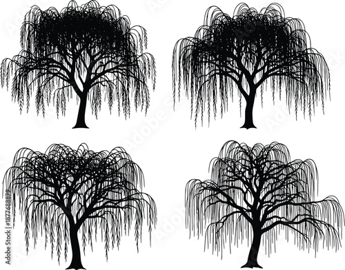 Willow tree silhouette set, black vector trees, drooping branches, botanical shapes, nature icons, foliage design, flat vector illustration