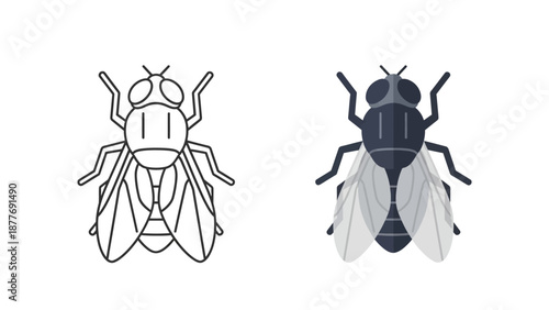 Vector illustration set showing two styles of a common house fly insect one black outline and one filled dark gray color design