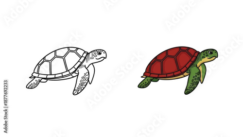 Illustration comparing a black and white outline drawing of a sea turtle with a fully colored version demonstrating creative potential for learning activities