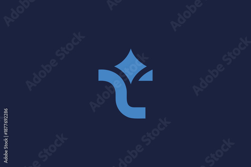 letter t logo icon star vector design with modern minimalist style and professional branding concept.