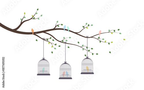 Bird in cages on tree branch. 12.18.2024 06