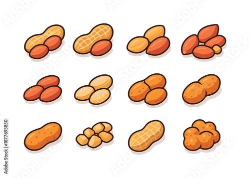 Isometric Peanut Icons. Peanut varieties. Colorful isometric vector icons set of peanut varieties: runner peanut, Virginia peanut, Spanish peanut, Valencia
