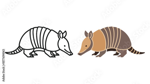 Simple vector graphic illustrating a coloring book outline version next to a fully colored flat design representation of an armadillo animal for educational materials