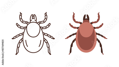 Two distinct artistic representations of a common arachnid pest illustrating both a simple black line drawing outline and a flat colored vector illustration for educational purposes