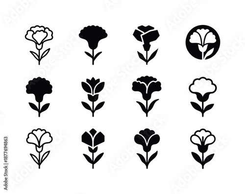 Birth Flower Logos. birth flowers. Icon set. Set Logo of birth flowers: carnation (January). harmonious logo variations of the same emblematic concept, each