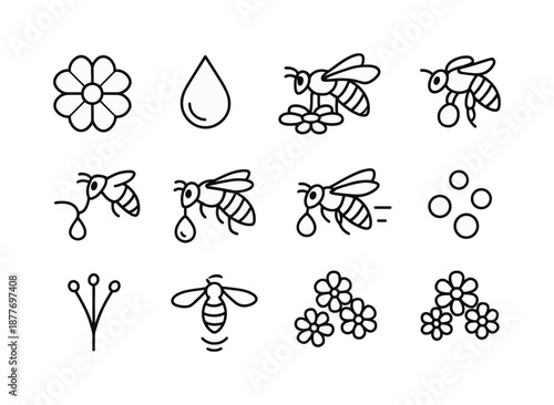 Bee Nectar Icons. How bees make honey. Line icon set of nectar collection: blooming flower, nectar droplet, bee landing on flower, pollen basket, bee tongue