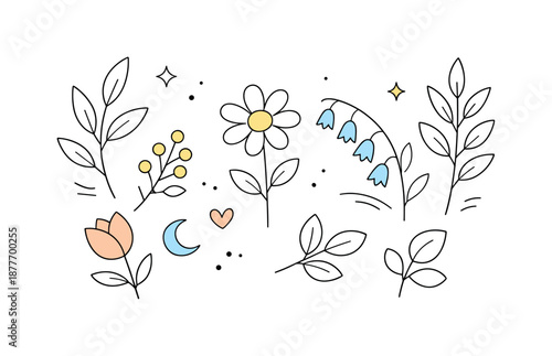 Botanical Harmony. Botanical outlines. A clean scene with outlined leaves, branches and flowers arranged harmoniously, expressing calm growth and organic