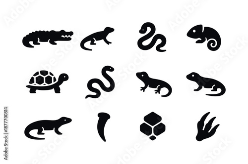 Savanna Reptile Icons. Savanna Reptiles. Solid icon set of Savanna Reptiles: crocodile, lizard, python, chameleon, tortoise, snake, gecko, skink, monitor