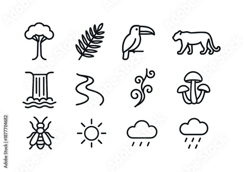 Tropical Rainforest Icons. Tropical rainforest. Line icon set of Tropical rainforest: tall canopy tree, fern leaf, toucan silhouette, jaguar outline,