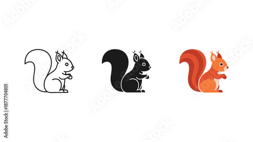Squirrel Vector Illustration Set