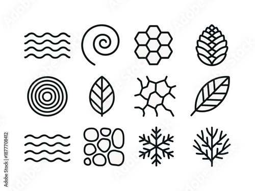 Nature Icon Set. Graphic design trends nature inspired design example. Line icon set of natural patterns: wave pattern, spiral shell, honeycomb hexagon,