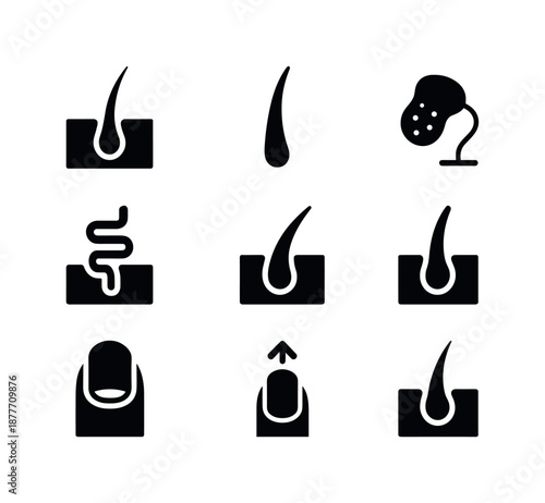 Skin Appendages Icons. Skin appendages. Solid icon set of skin appendages: hair follicle, hair shaft, sebaceous gland, sweat gland, nail plate, nail bed,