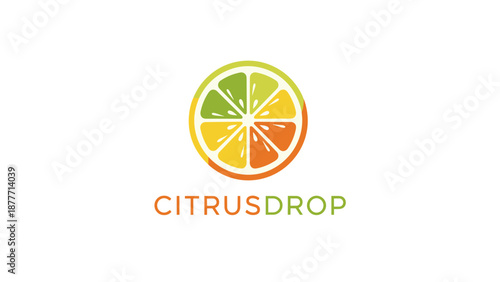 Citrus Drop Logo Design with Orange Slice.