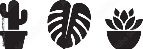 Potted plants cactus monstera leaf and succulent icon for home decor and botany