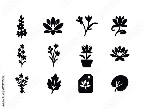 July Flower Icons. July birth flowers. Solid icon set of July birth flowers: larkspur, water lily, tall stem, petal cluster, vine curve, bouquet icon, sprig