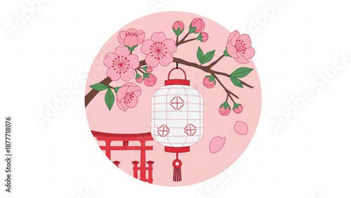 Japanese Lantern with Cherry Blossoms on Pink Background