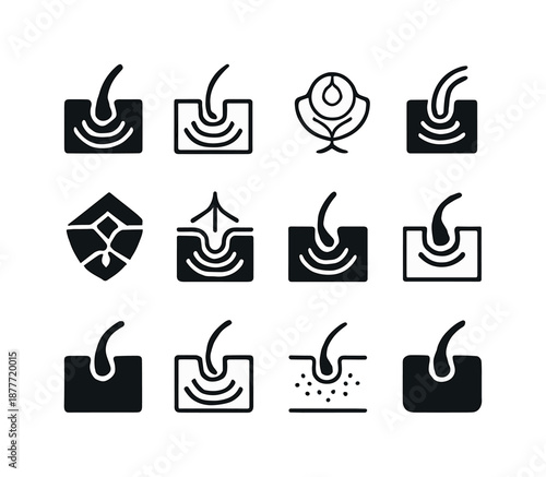 Skin Function Icons. The function of the skin. Icon set. Set Logo of The function of the skin: sensory receptor icon. harmonious logo variations of the same