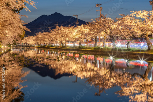 Wallpaper Mural ライトアップされた夜桜と残雪の岩木山、水面に映るリフレクションと車の光跡 Torontodigital.ca