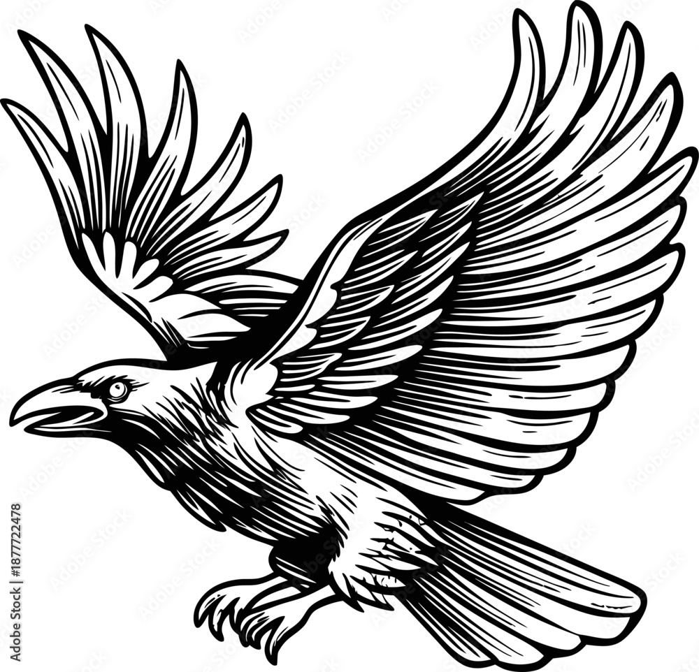 Fototapeta premium detailed black and white illustration of a raven in mid flight with spread wings and sharp features