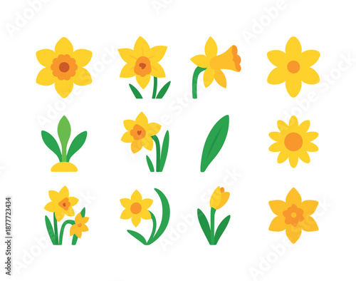 March Birth Flower Icons. March birth flowers. Colorful flat vector icons set of March birth flowers: daffodil bloom, jonquil flower, trumpet daffodil, yellow