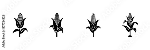 Corn Plant Icons In Hand Drawn Style Set. Agricultural Crop, Farming, Harvesting Doodle Sketch Collection. Nature And Food Production. Isolated Vector Illustration