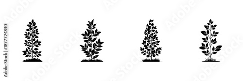 Four Stylized Plant Silhouettes In Hand Drawn Style Set. Botanical Illustration, Nature Elements, Foliage Design Doodle Sketch Collection. Decorative Garden Art. Isolated Vector Illustration