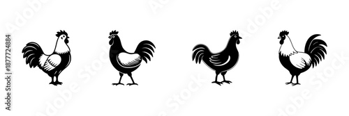 Rooster Silhouettes In Hand Drawn Style Set. Farm Animal, Poultry Symbol, Rustic Decor Doodle Sketch Collection. Traditional Agriculture Theme. Isolated Vector Illustration
