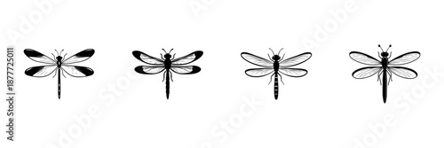 Dragonfly Illustrations In Hand Drawn Style Set. Nature, Insect Diversity, Wildlife Art Doodle Sketch Collection. Entomology And Biodiversity. Isolated Vector Illustration