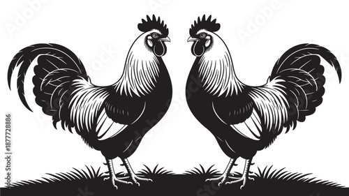 Vector Illustration Of Two Roosters Standing Face To Face In Black And White For Farm Or Animal Concept On Transparent Background