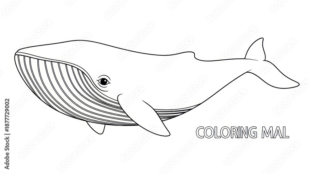 Fototapeta premium Outlined whale illustration for coloring activity isolated design element