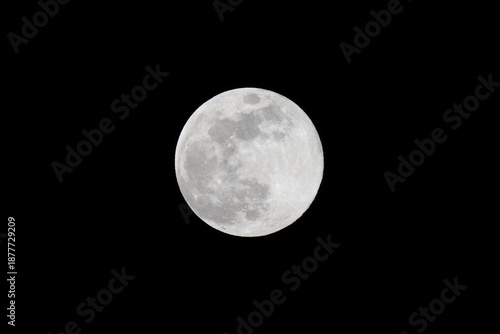 Wallpaper Mural 暗闇に浮かぶ満月 クローズアップ Torontodigital.ca