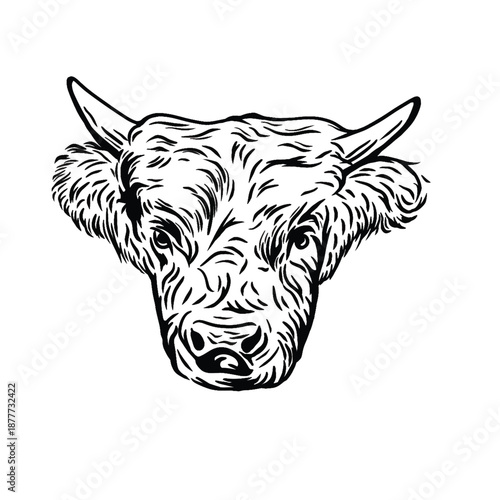 Cow head vector illustration, silhouette with simple and attractive design, suitable for animal icons