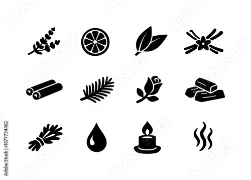 Eco Candle Icons. Eco-friendly candle scents. Solid icon set of eco-friendly candle scents: lavender sprig, citrus slice, eucalyptus leaf, vanilla pod,