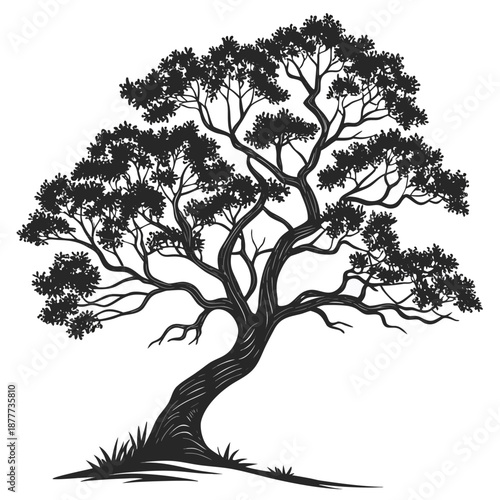 A detailed black silhouette illustration of a stylized bonsai tree with intricate branches
