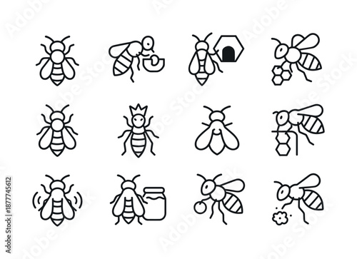 Bee Roles Icons. How bees make honey. Line icon set of bee roles: worker bee, nurse bee, guard bee, forager bee, scout bee, queen bee outline, drone bee, wax