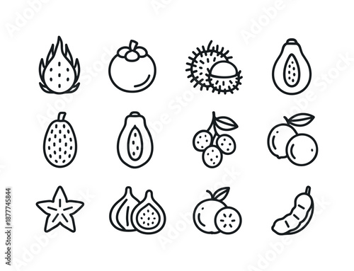 Exotic Produce Icons. Exotic produce. Line icon set of Exotic produce: dragonfruit, mangosteen, rambutan, durian, jackfruit, papaya, lychee cluster, coconut,