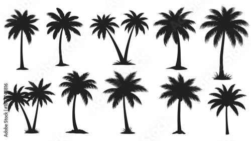 Tropical Palm Tree Silhouettes Collection: Black Vector Set for Summer and Beach Designs