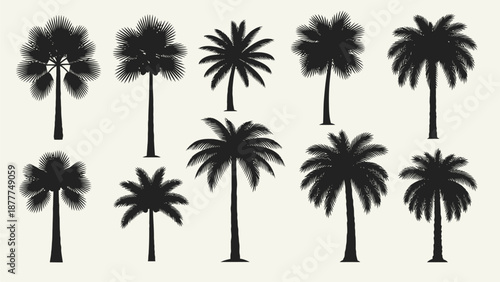 Tropical Palm Tree Silhouettes Collection: Black Vector Set for Summer and Beach Designs