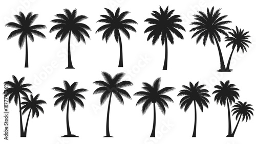 Tropical Palm Tree Silhouettes Collection: Black Vector Set for Summer and Beach Designs