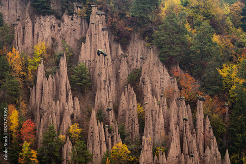 Detailed view of the erosion patterns and stone caps of the Piramidi di Terra del Renon during fall foliage.