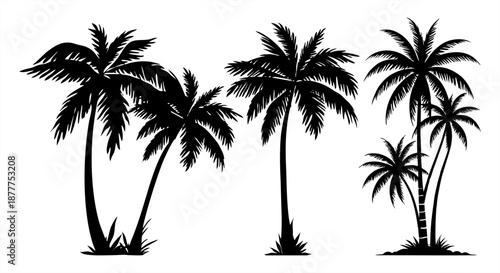 Set of black palm tree silhouettes isolated on white background. Tropical coconut trees in various shapes and sizes, perfect for summer travel, beach themes, and exotic designs.