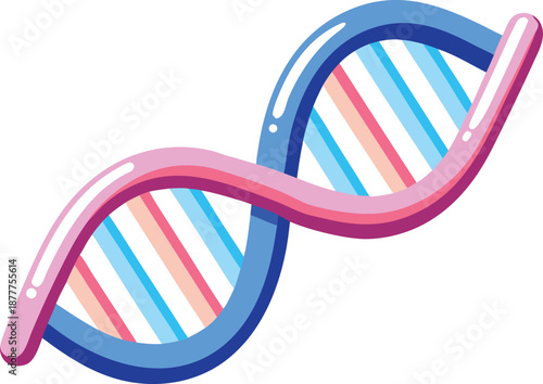 Vibrant cartoon DNA double helix, Genetic science medical biology symbol