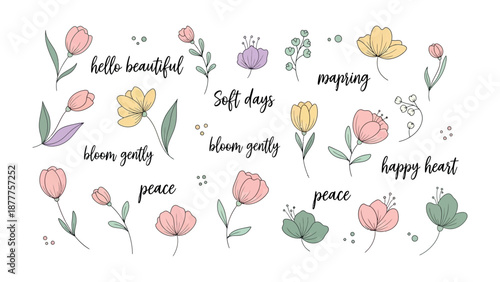 Botanical Bliss: A collection of delicate floral illustrations, adorned with inspirational phrases, evoking a sense of calm and beauty.
