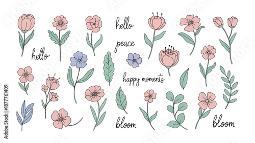 Floral Arrangement: A delightful collection of hand-drawn floral elements, each with unique features, alongside uplifting words, forming a charming artistic ensemble.