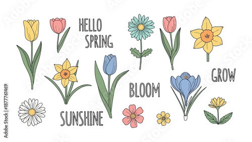 Springtime Floral Collection: A charming collection of vibrant flowers and motivational words like hello spring, adding a touch of cheer and seasonal flair.