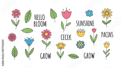 Floral Harmony: Delicate floral illustrations showcase the vibrancy of spring, featuring an array of colorful blooms and fresh greenery in a whimsical composition. 