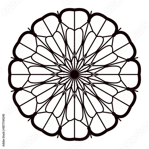 Symmetrical Floral Mandala Line Art Vector