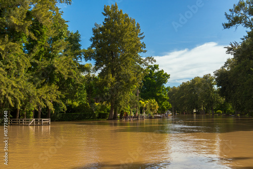 River surrounded by trees, docks and nature, typical delta or river area landscape.